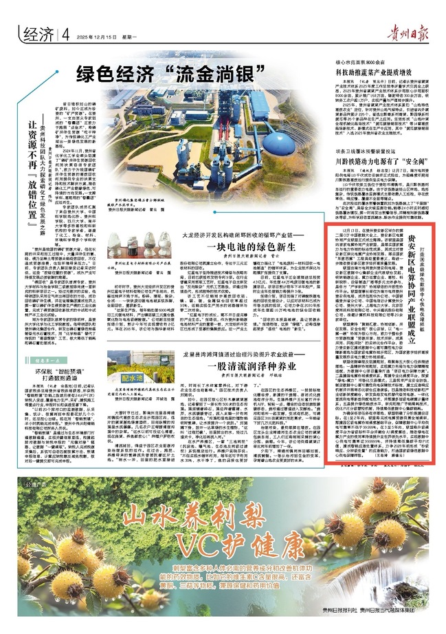 我校承办第二届中国数据大会分论坛“能源电力数据要素：高质量基础与智能价值的再造”